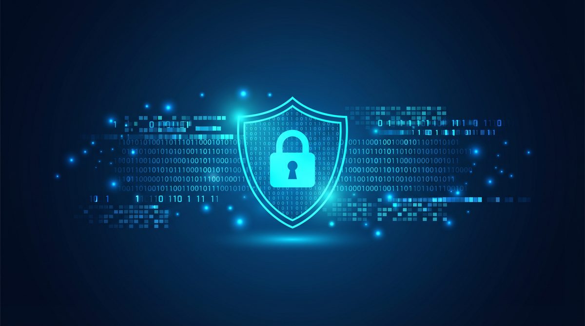 平替加速器隐私安全保护